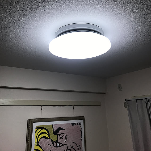 壁/天井のインテリア実例 - 2018-12-21 22:53:33