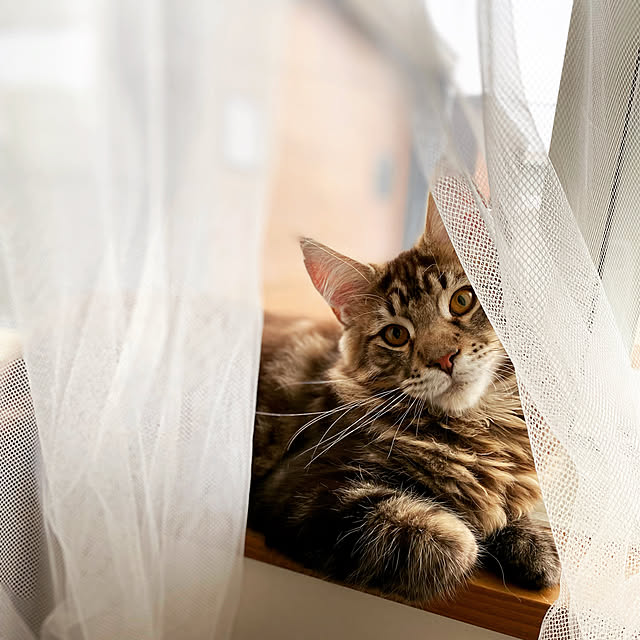 rarryさんの実例写真
