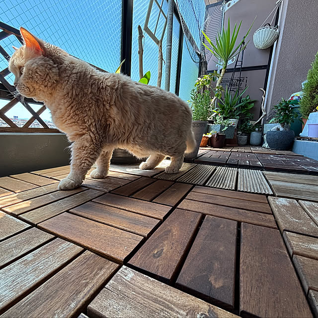 naokoさんの部屋