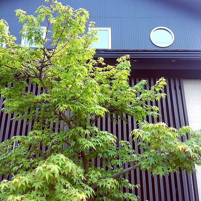 noa-houseさんの実例写真
