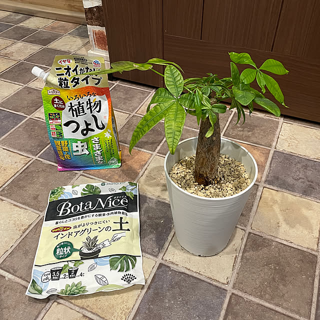 emiuraranさんの部屋