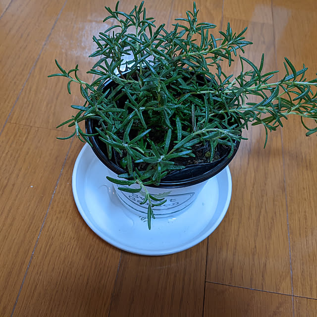 asaさんの実例写真