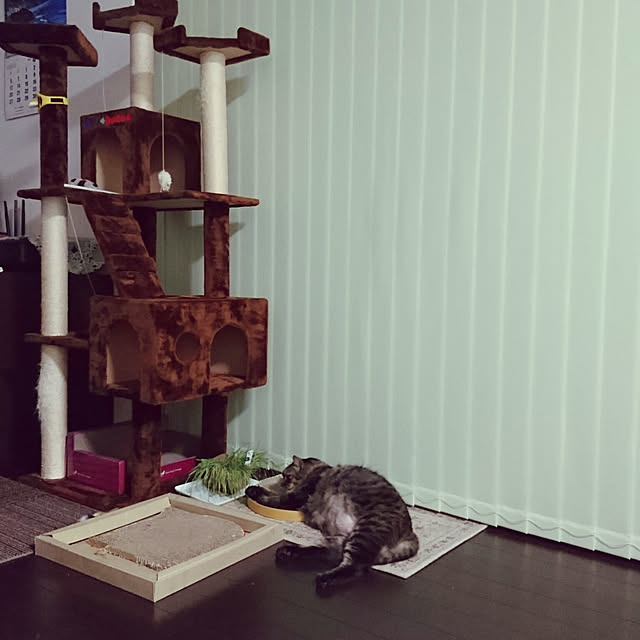 rikadaiさんの実例写真