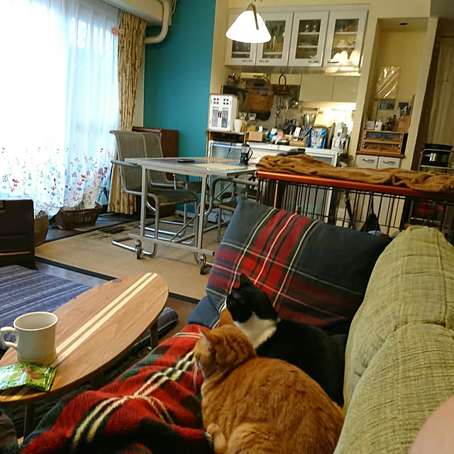okyosan101さんの実例写真