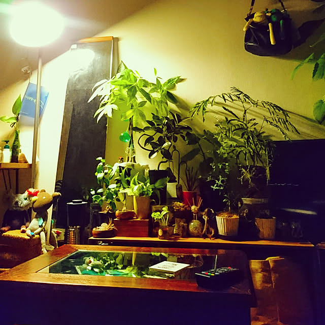 s.p.sunaoさんの実例写真