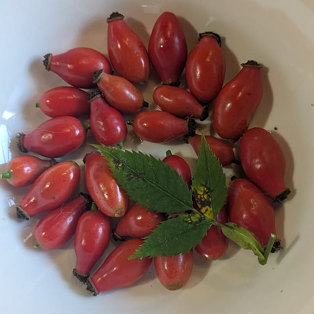 monnさんの実例写真