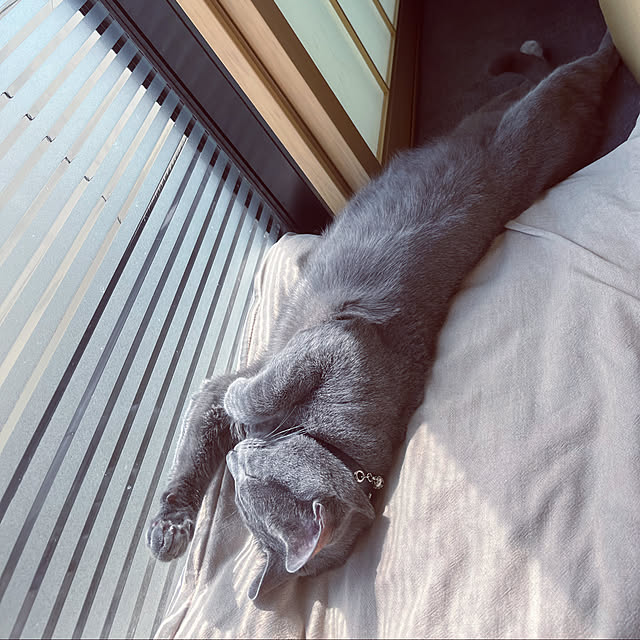 kyonさんの実例写真