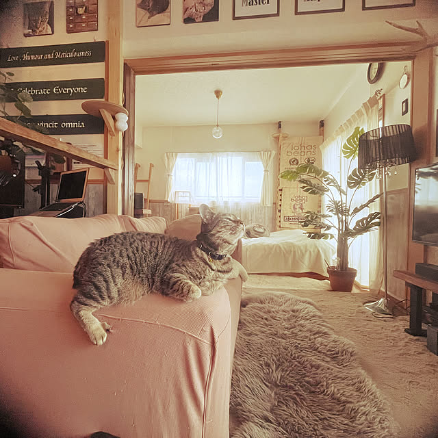 Mさんの部屋