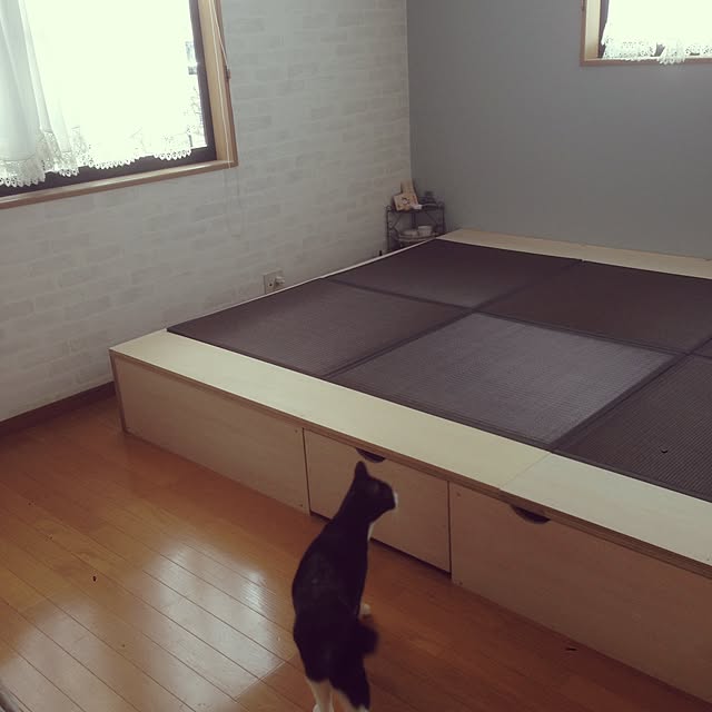 Kinanさんの実例写真