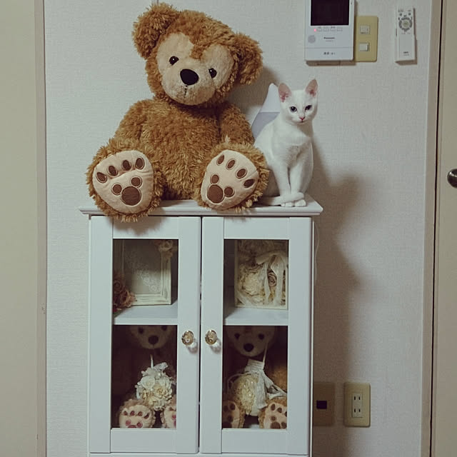 ayayaさんの実例写真