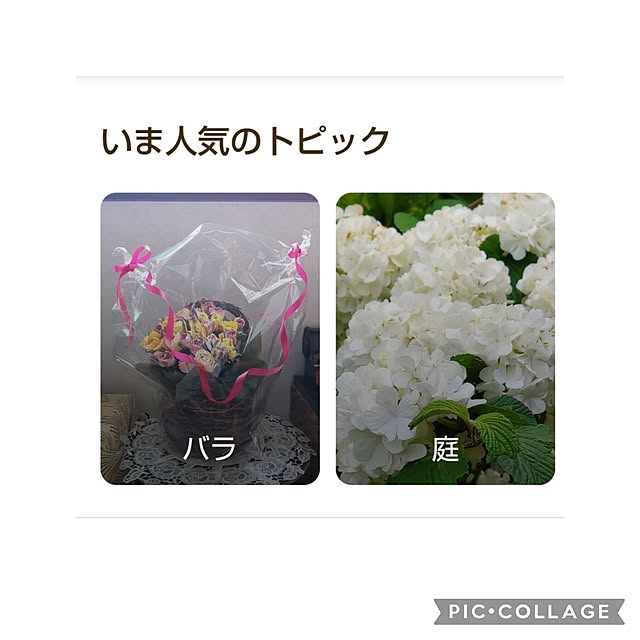 yumiyumiさんの実例写真