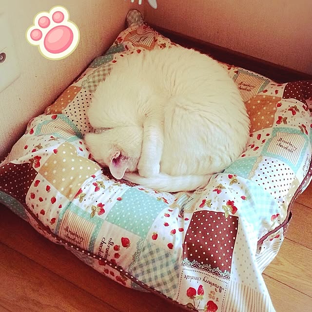 Mikiさんの実例写真