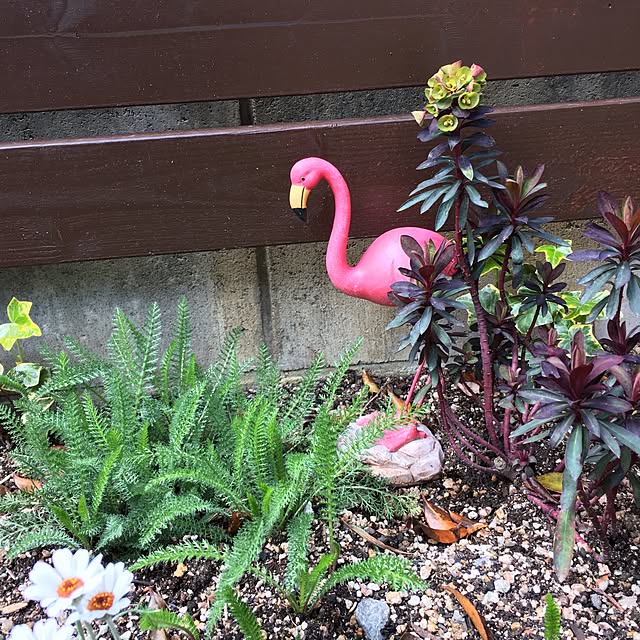 Emiさんの実例写真