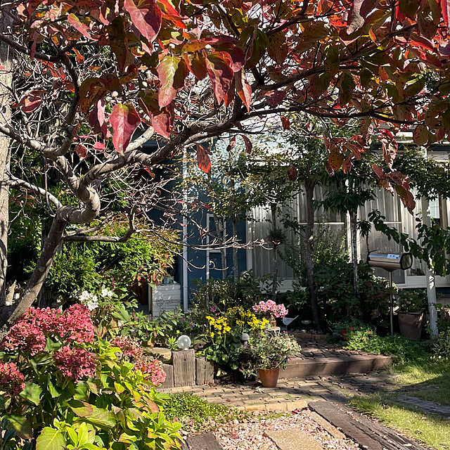 nobikoさんの実例写真