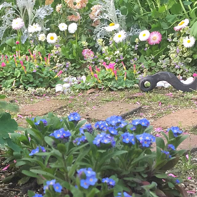 bibianさんの実例写真