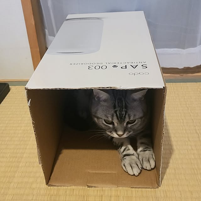 lovepeaceさんの部屋