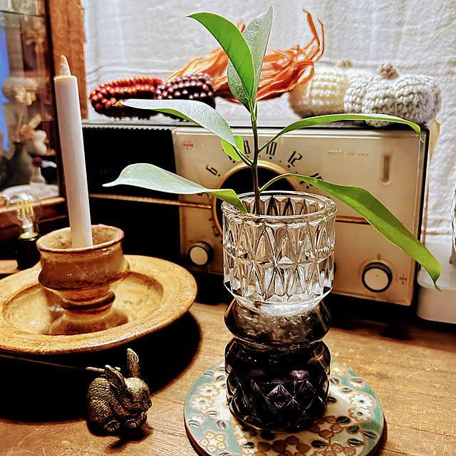 akaidarumaさんの部屋