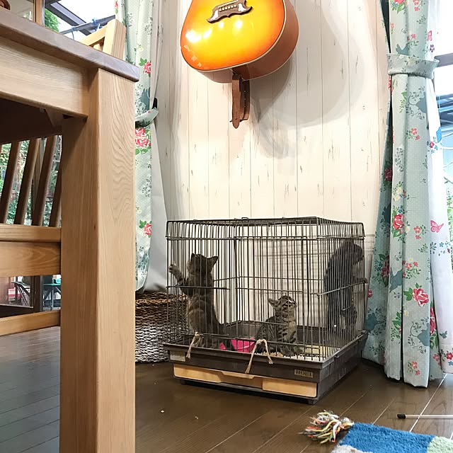 pepeさんの実例写真