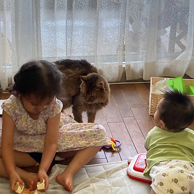 yukarinさんの実例写真