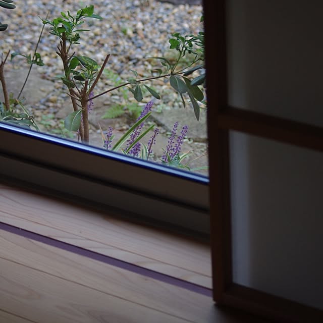 sugomoliさんの実例写真