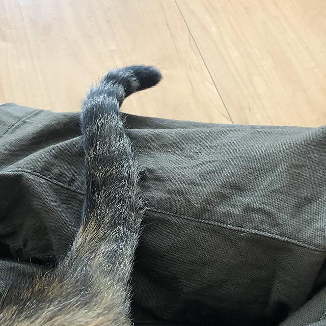 ginsima0330さんの実例写真