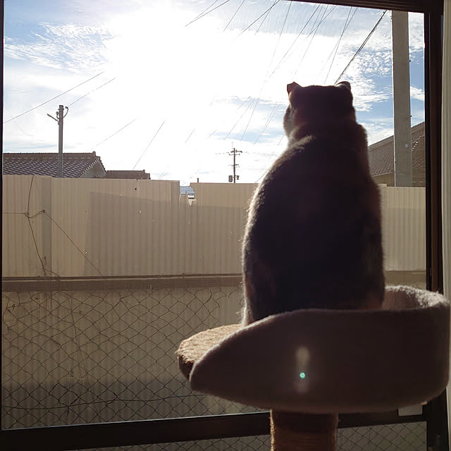 fukuさんの実例写真