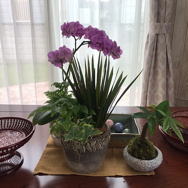 oceanさんの部屋