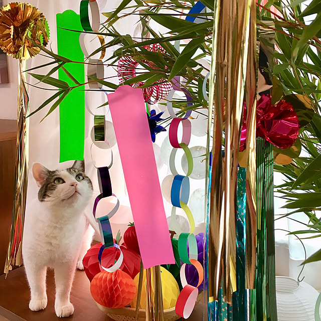 yukiさんの実例写真