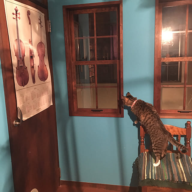shigimiさんの実例写真