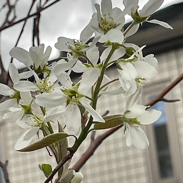 Andaluciaさんの部屋