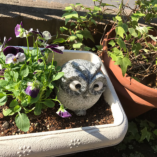 makiさんの実例写真