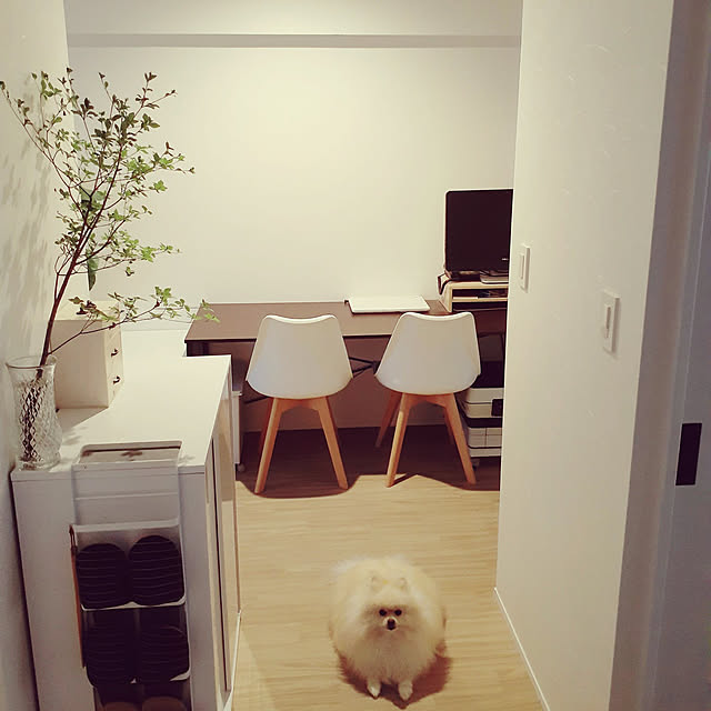 noahさんの実例写真