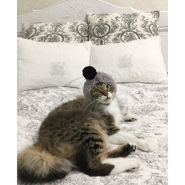 yuchiさんの実例写真