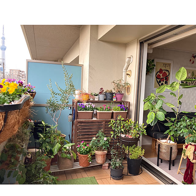 marukoさんの部屋
