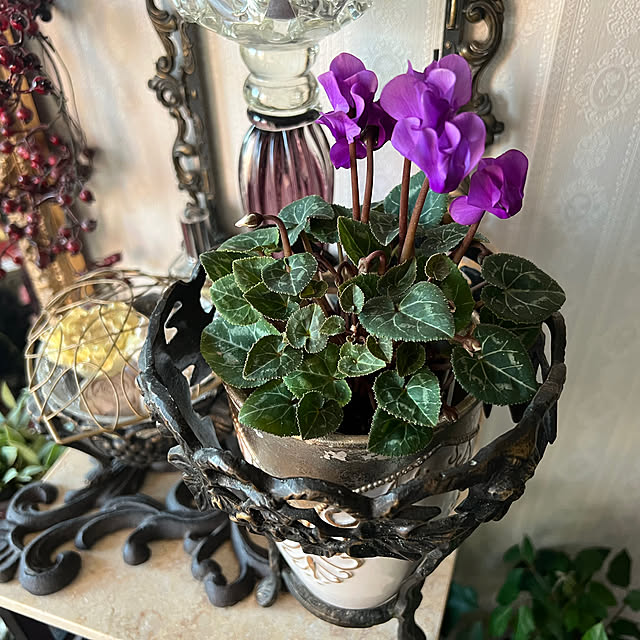 AYUKOさんの実例写真