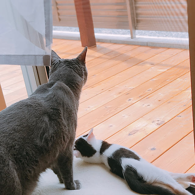 azu2213さんの実例写真
