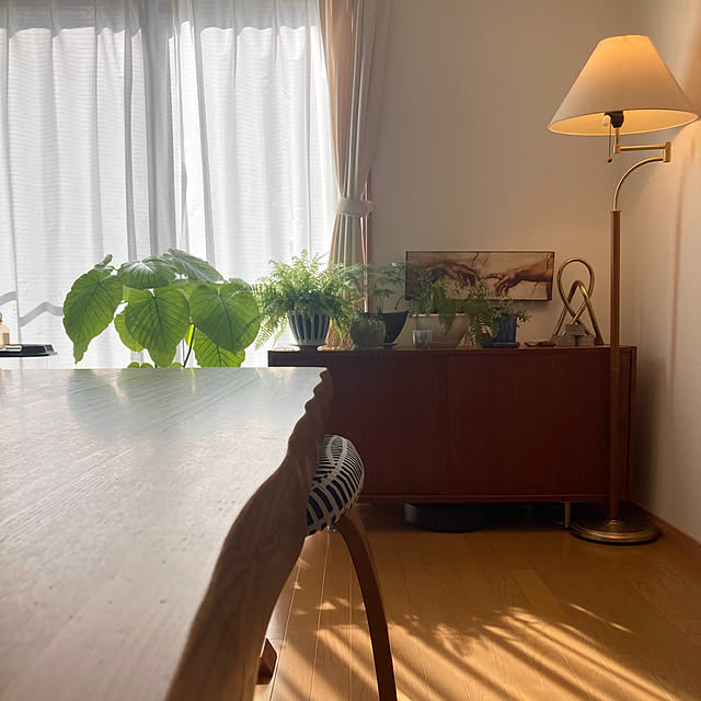 kaoriさんの実例写真