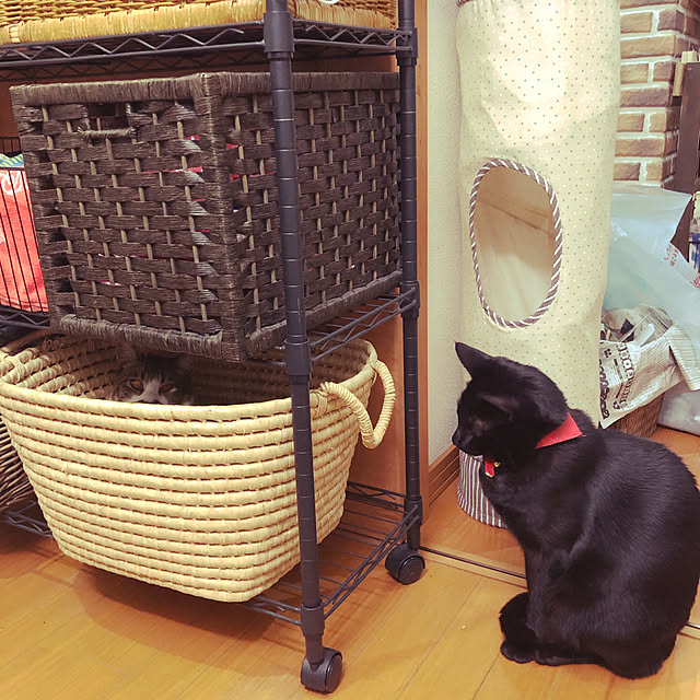 jijiさんの実例写真