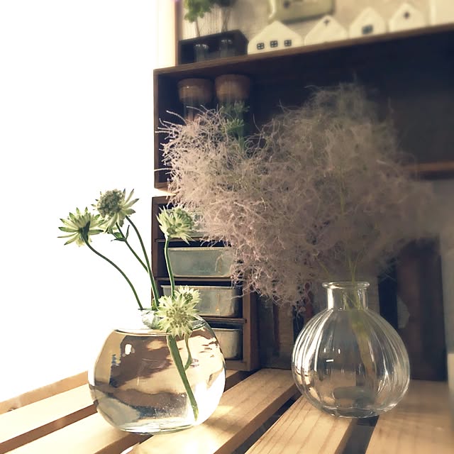 hiyoさんの実例写真