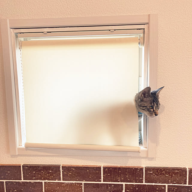 m.coccoさんの実例写真