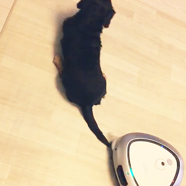 ohanaさんの実例写真