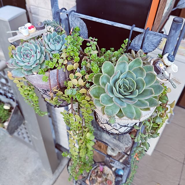 mocomocoさんの部屋