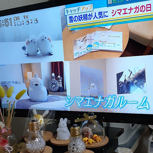 suzuponさんの実例写真