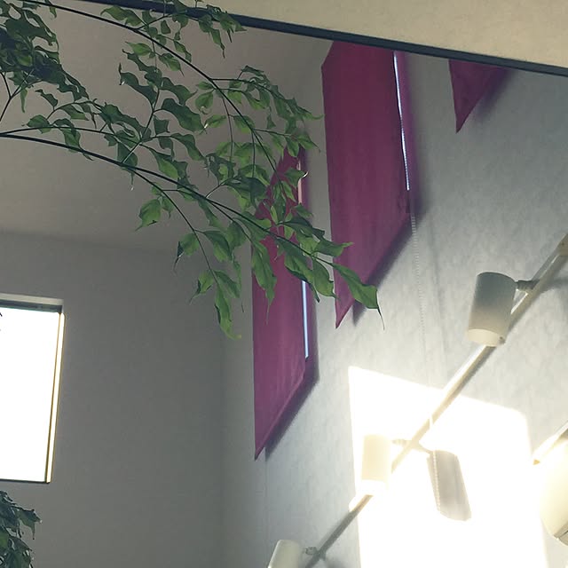 yMacさんの実例写真