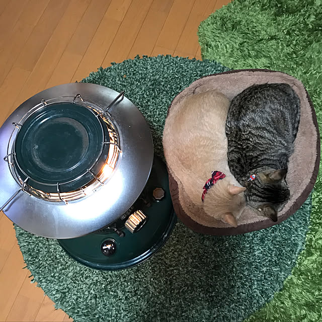 mikan161さんの実例写真