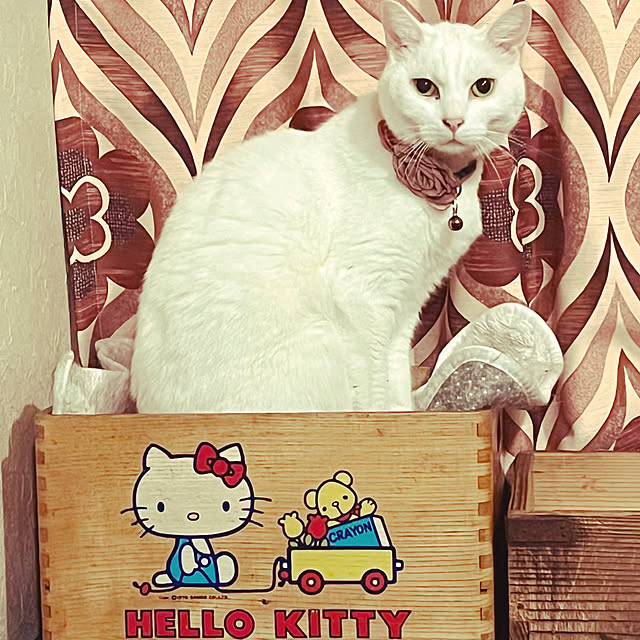 miさんの実例写真