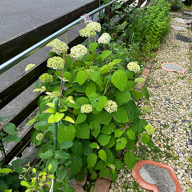 leoltinihlkaさんの部屋