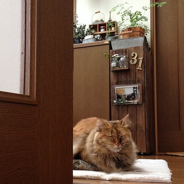 kayocoさんの実例写真