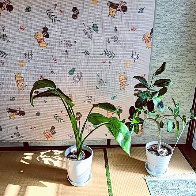 hanachanさんの部屋