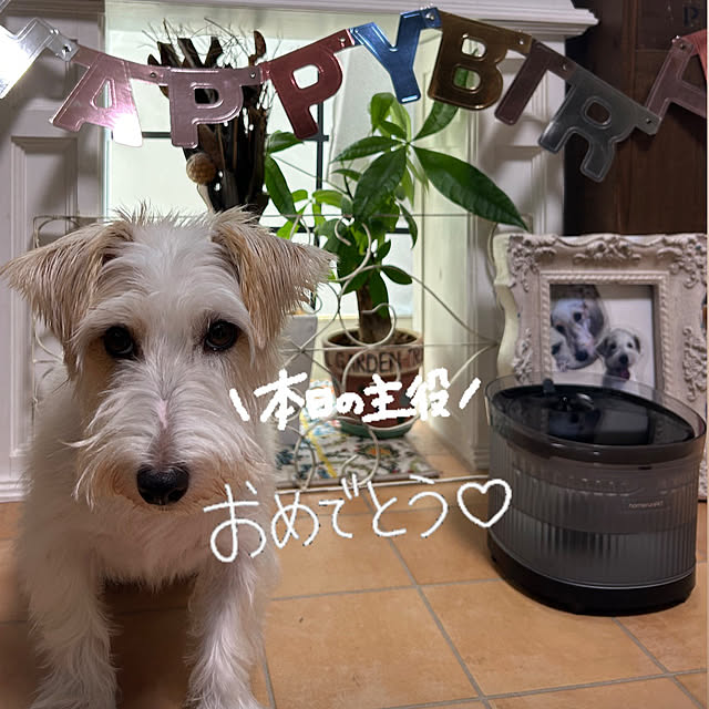 Fumiさんの部屋
